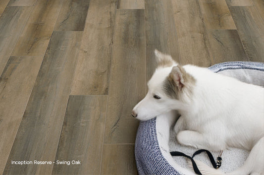 Best Flooring Options for Homes with Pets