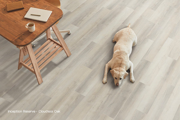 Durability Meets Style: Pet-Proof Your Floors with Luxury Vinyl Plank