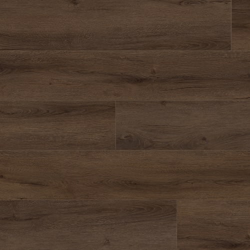 Inception - 200, Acorn