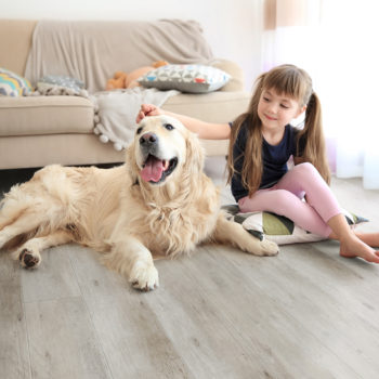 Metroflor Products Are Proudly ASSURE™ CERTIFIED for Your Family’s Peace of Mind