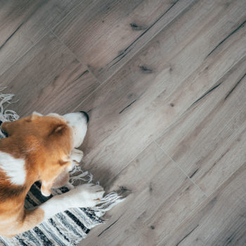Best Flooring Options for Homes with Pets